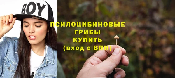 гашик Богородск
