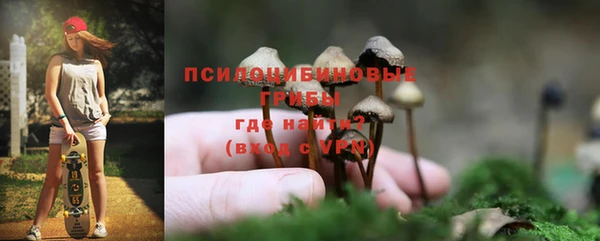 сатива Верхнеуральск