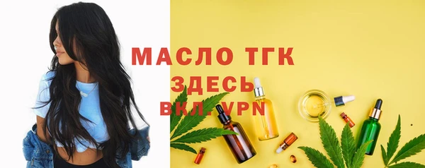 гашик Богородск