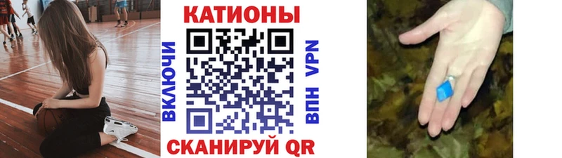 МЯУ-МЯУ мяу мяу Дубовка