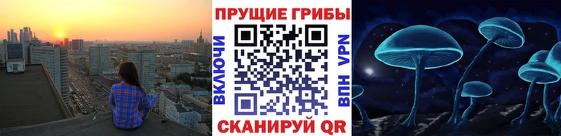 Псилоцибиновые грибы Magic Shrooms Дубовка
